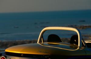 Renault Sport Spider 1995 года 